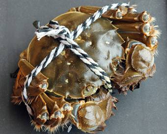 成都大閘蟹空運